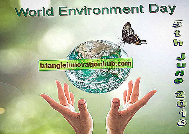 Svarbios aplinkos dienos stebimos pasaulinės klasės - aplinką