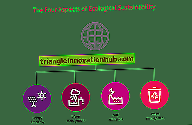 4 Funkciniai ekosistemos aspektai - aplinką