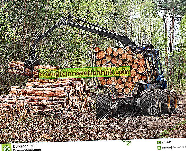 موارد الغابات والصناعات الخشبية
