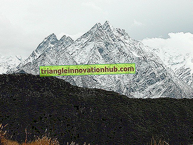 Miljöprofil av Nanda Devi Biosphere Reserve - miljö