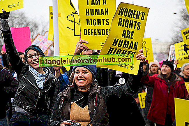 Amnesty Internationals roll för skydd av mänskliga rättigheter
