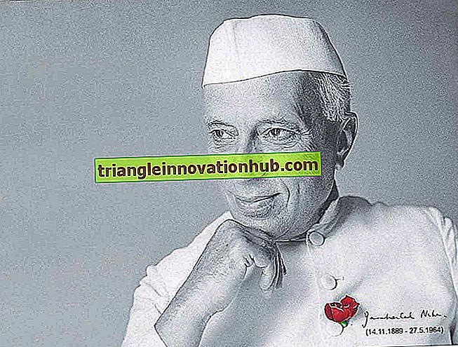 Jawaharlal Nehru: Essay on Jawaharlal Nehru - opstel
