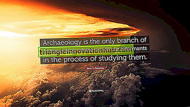 Archäologische Anthropologie: Als Zweig der Anthropologie