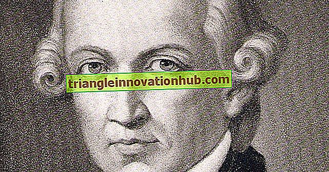 Immanuelis Kantas: Esė apie Immanuelį Kantą