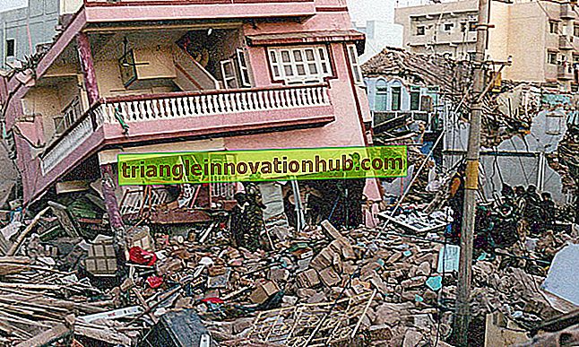 Essay om Gujarat Jordskælv