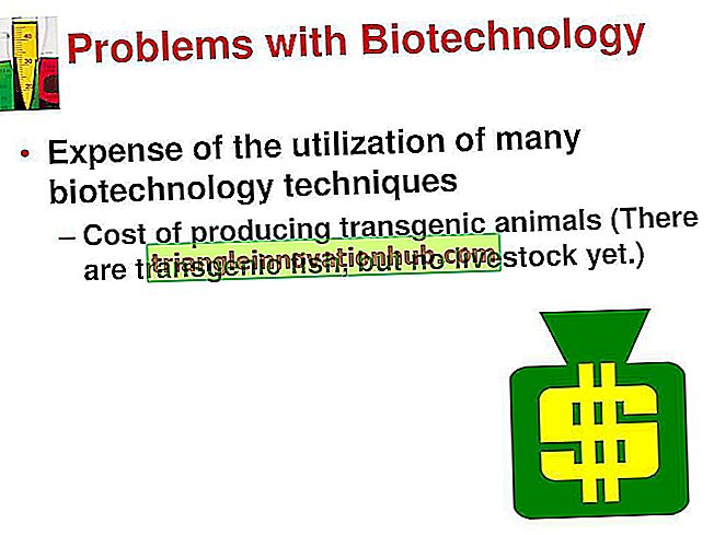 Biotechnologie - een inleiding tot de biotechnologie