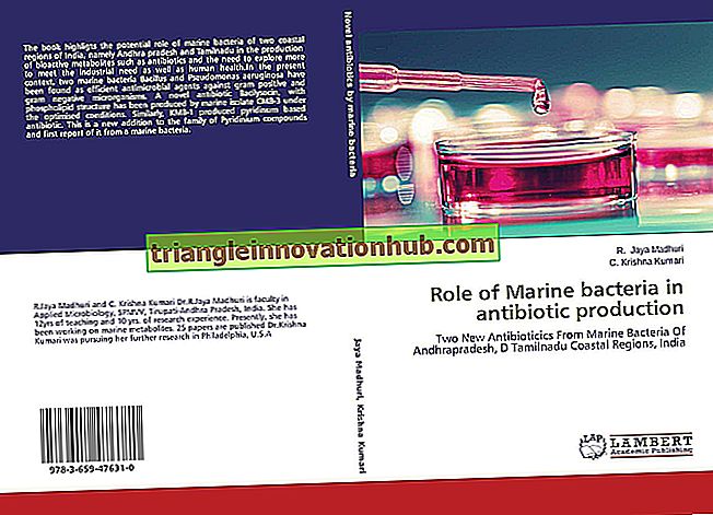 Antibiotika: Kommerzielle Herstellung von Antibiotika - Aufsatz
