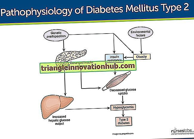 DM: Diabetes Mellitus Ziekten - opstel