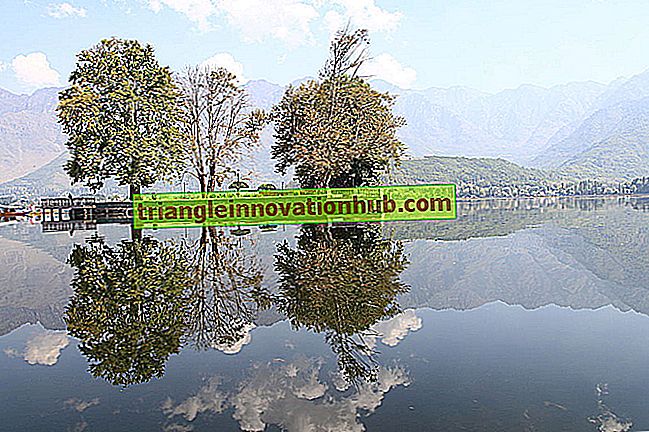 Saggio sul turismo a Jammu e Kashmir