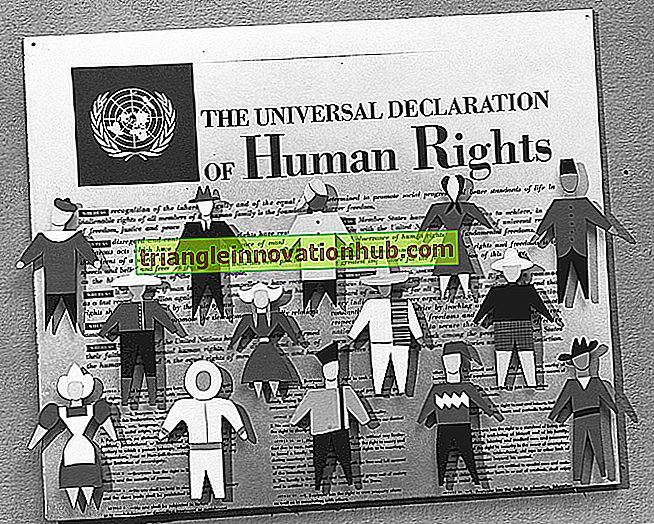 Derechos Humanos: Objetivos y Declaración Universal de los Derechos Humanos.