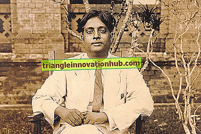 Satyendra Nath Bose: Esė apie Satyendra Nath Bose