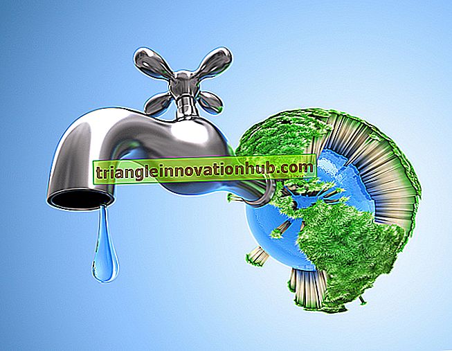 Vandens išsaugojimas: vandens apsaugos būdai ir strategijos