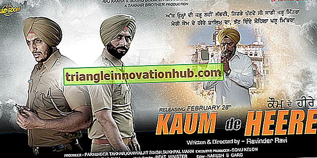 Bài tiểu luận về rạp chiếu phim Punjabi (730 từ) - tiểu luận