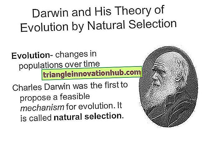 Notas sobre la teoría de Darwin sobre la selección natural de la evolución. - evolución