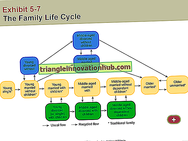 Familielivscyklus: 3 hovedfaser - familie