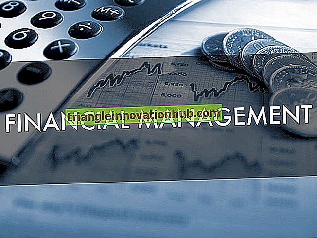 Finanzmanagement: Sinn und Ziele - Finanzverwaltung
