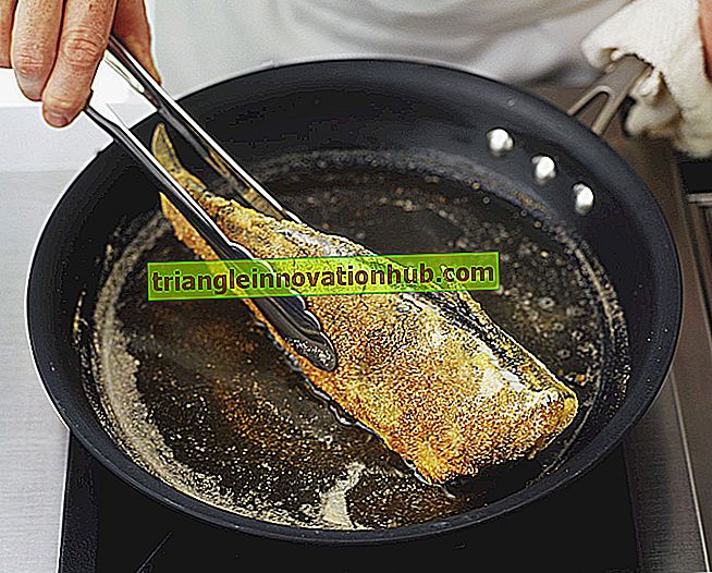 Top 8 Methoden zum Kochen von Meeresfrüchten - Fisch