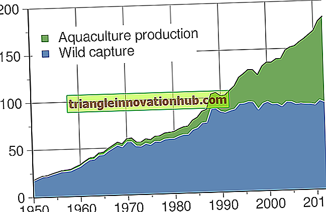 Productie van vis in ontwikkelde landen (met statistieken) - vis