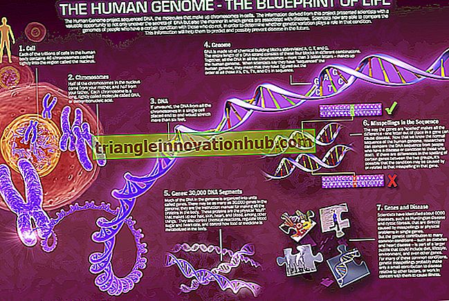 Genoma: Significado, Revelações e Implicações - genética