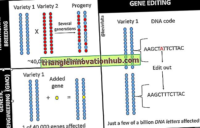 Codice genetico: caratteristiche ed eccezioni del codice genetico - genetica
