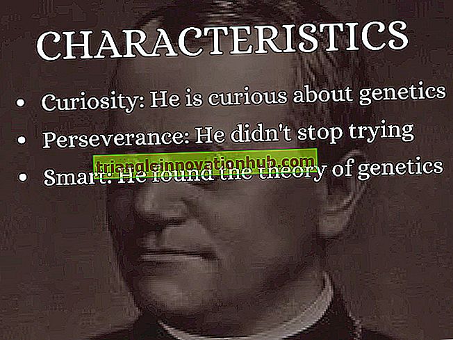 Gregor Johann Mendels bidrag til studiet av genetikk - genetikk