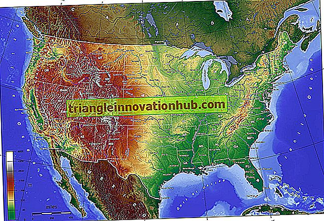 Stati Uniti d'America: è divisioni fisiche, clima e vegetazione - geografia