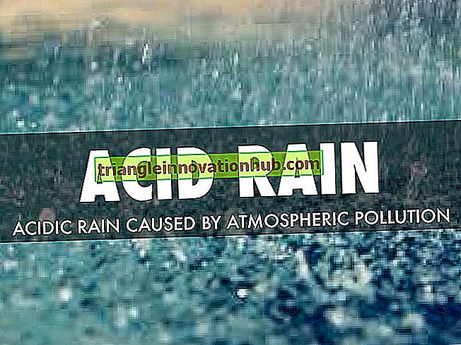 Pioggia acida: 5 importanti misure per controllare la pioggia acida - geografia