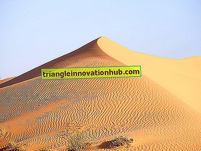 Sand Dunes: signification et ses types - géologie