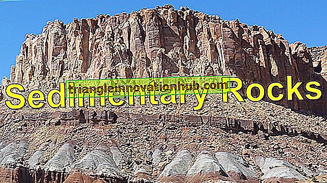 11 principais características das rochas sedimentares - geologia