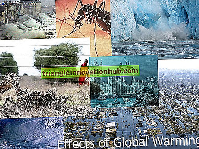 Global oppvarming: Kilder og konsekvenser av global oppvarming