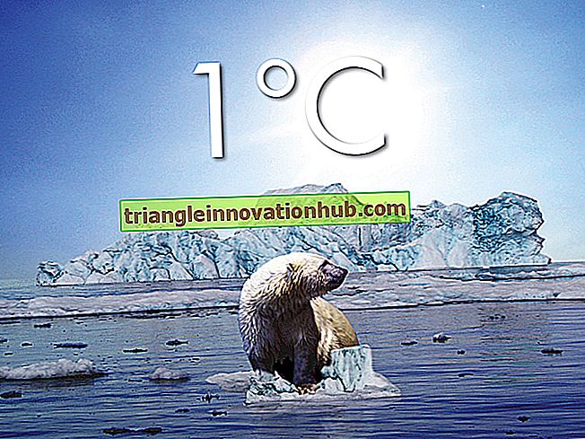 Global Warming: Kort oppgave om global oppvarming - global oppvarming