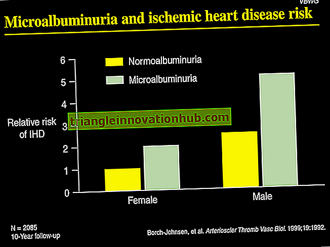 Betekenis van Micro Albuminuria - Gezondheid