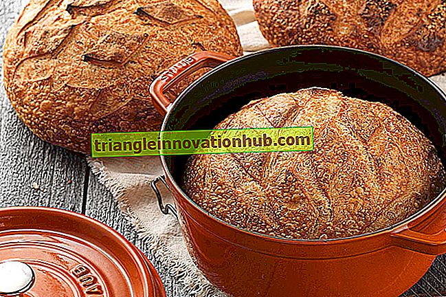 10 huvudsteg involverade i brödtillverkning - hemvetenskap