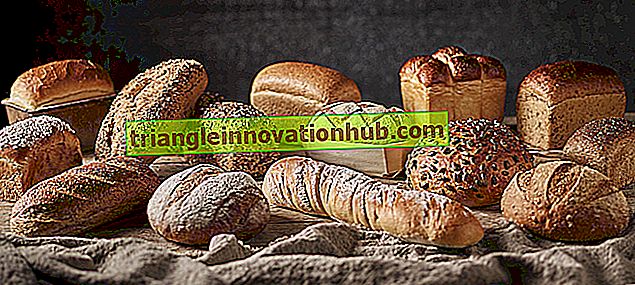 Förteckning över 14 huvudutrustning som används vid brödtillverkning - hemvetenskap