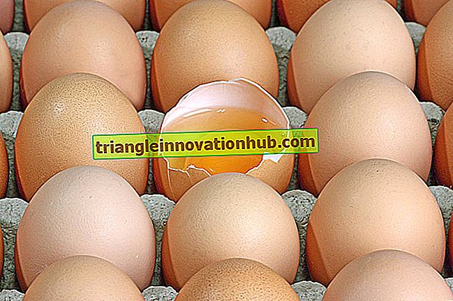 3 stora matlagningsfunktioner utförs av ägg - hemvetenskap