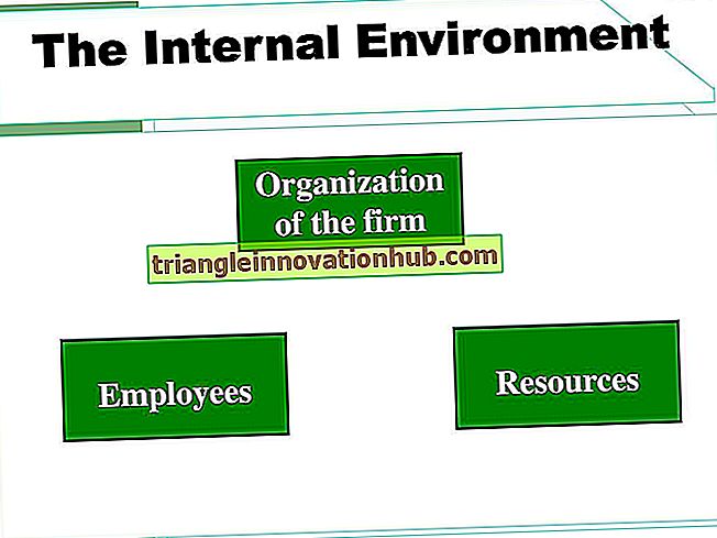 Miljø i menneskelig ressursforvaltning: Internt og eksternt miljø - HRM