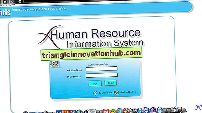 Design af Human Resource Information System (HRIS) - menneskelige ressourcer