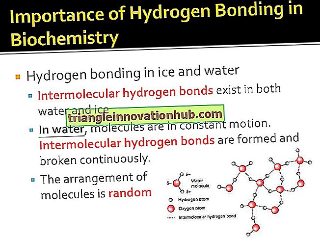 Intermolekylær hydrogenbinding og dens betydning - hydrogen