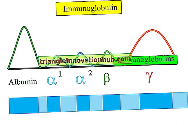 2 सीरम प्रोटीन के वैद्युतकणसंचलन के तरीके (चित्रा के साथ) - इम्मुनोलोगि