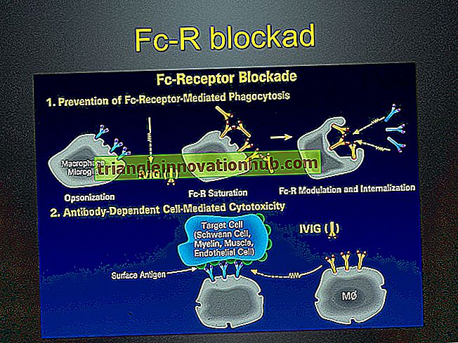 Fc Receptors on Cell surfaces - علم المناعة