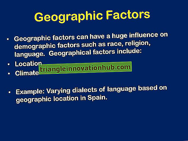 Faktorer som påvirker plasseringen av bransjer: Geografiske og ikke-geografiske faktorer - bransjer