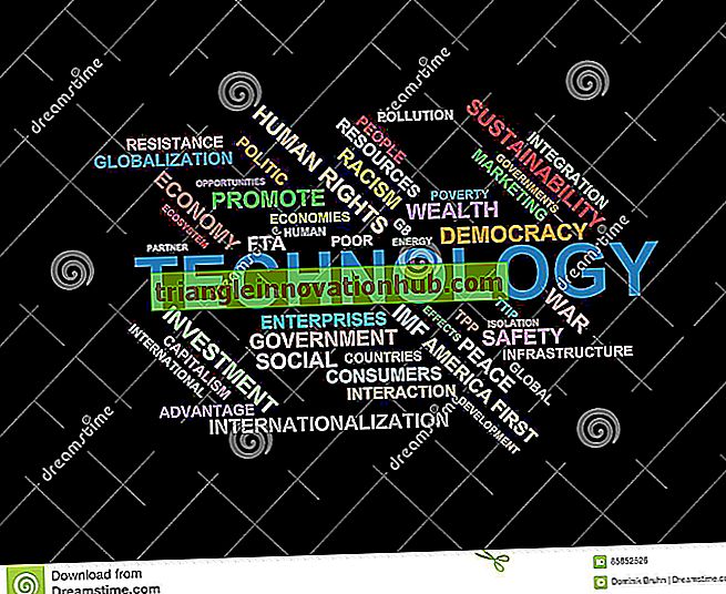 Internationale ökologische Umwelt (302 Wörter) - Internationales Marketing