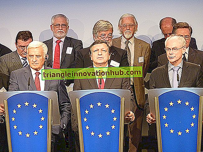 Den Europæiske Unions rolle - international politik