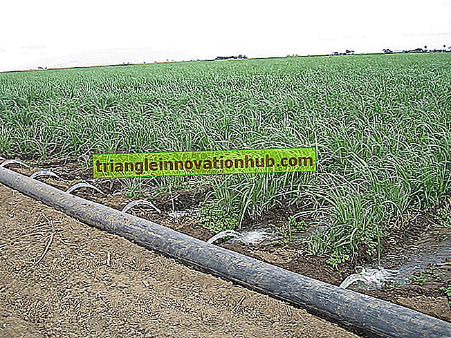 Irrigation: définition, sources et méthodes d'irrigation