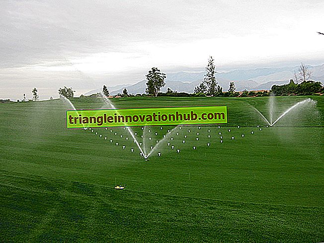 Berechnung der Netto-Bewässerungsanforderung - Bewässerung
