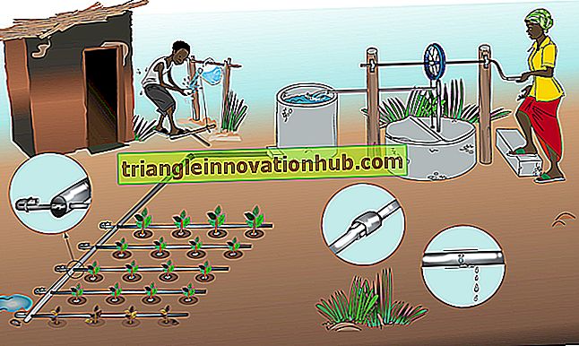 Principali vantaggi e svantaggi dell'irrigazione! - irrigazione