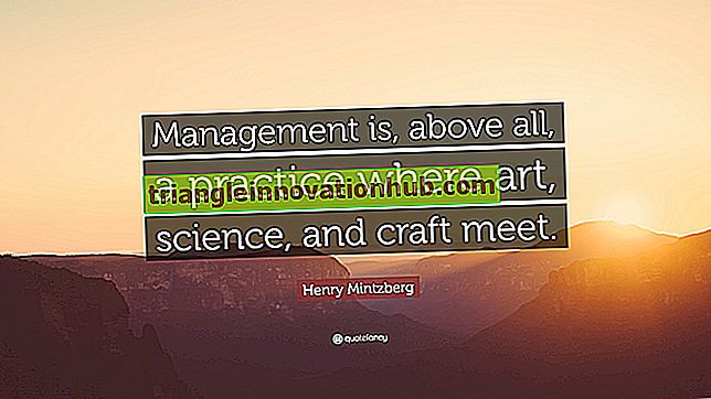 Management: Management als Wissenschaft, Kunst und Beruf - Verwaltung