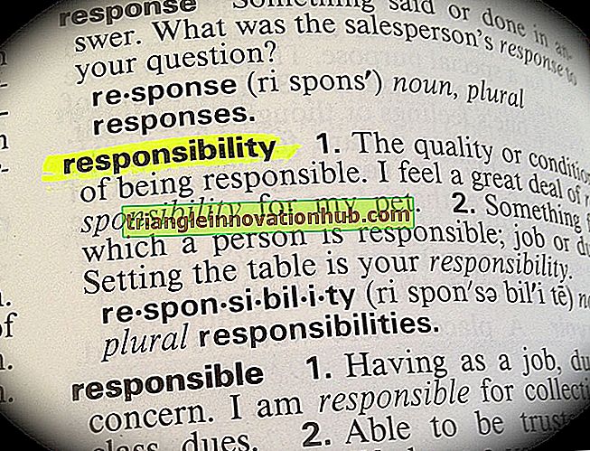 प्रबंधन में जिम्मेदारी: जिम्मेदारी की परिभाषा और विशेषताएं - प्रबंध