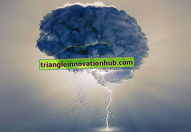 Brain Storming: Utilisation du cerveau pour résoudre un problème avec des solutions possibles - la gestion
