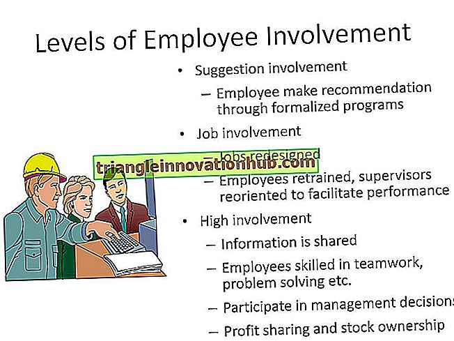 4 nivåer av arbetstagarnas deltagande i förvaltningen - förvaltning